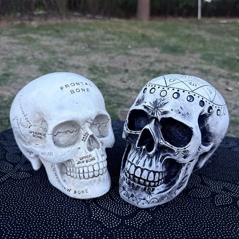 Resin Skull Figurine Halloween Decor Astrological and Anatomical Gothic Tabletop Ornament Home Decor Sculpture