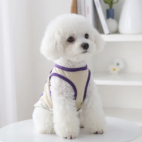 Small Dog Summer Breathable Mesh Vest Cute Cooling Sun Protection Puppy Clothes Colorful Contrast Pet Apparel For Daily Wear