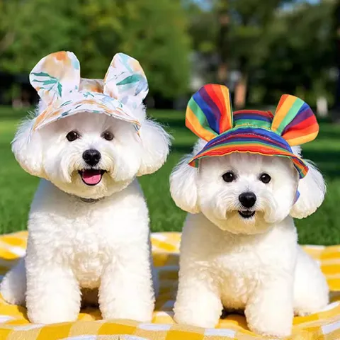 Cute Pet Sun Hat Small Dog Cat Floral Rainbow Plaid Baseball Cap Adjustable Outdoor Photography Pet Accessories