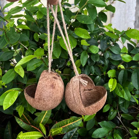 Nido de Pájaro de Cáscara de Coco Natural Cabaña Cueva Colgante Para Loros Periquitos Mascotas Pequeñas Refugio de Cría