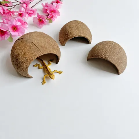 Casa per Criceti in Guscio di Noce di Cocco Naturale Casetta Rifugio per Piccoli Animali Giocattolo Habitat