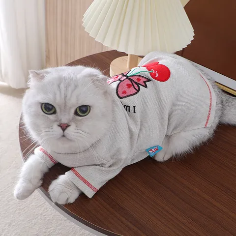 Cute Cherry Bow Embroidery Pet Cat Sweater Spring Autumn Knit Two-Legged Clothes Soft Breathable Kitten Apparel