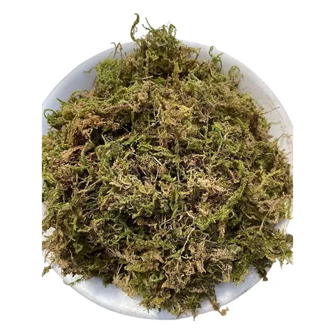 Natural Dried Moss Preserved Sphagnum Moss For Potted Plants Soil Paving Micro Landscape Gardening DIY Craft Terrarium