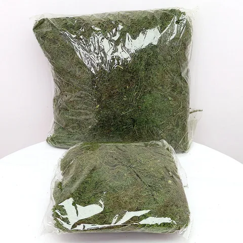 Natural Dried Moss Preserved Sphagnum Moss For Potted Plants Soil Paving Micro Landscape Gardening DIY Craft Terrarium