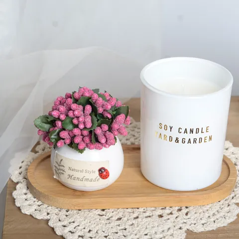 Mini Potted Artificial Plant Desktop Ornament Fake Berry Flower For Office Home Car Decoration