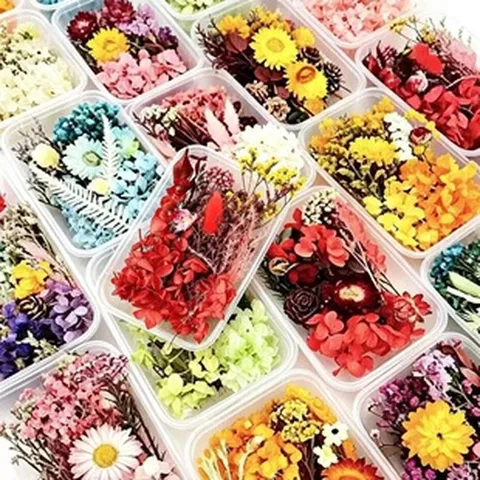 Natural Dried Flowers Pressed Flowers For DIY Resin Crafts Aromatherapy Candle Decor Handmade Flower Bouquet Gift