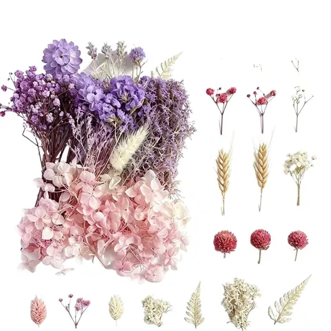 Natural Preserved Dried Flowers DIY Material Pack Botanical Floral Arrangement Accessories For Handmade Craft Gift