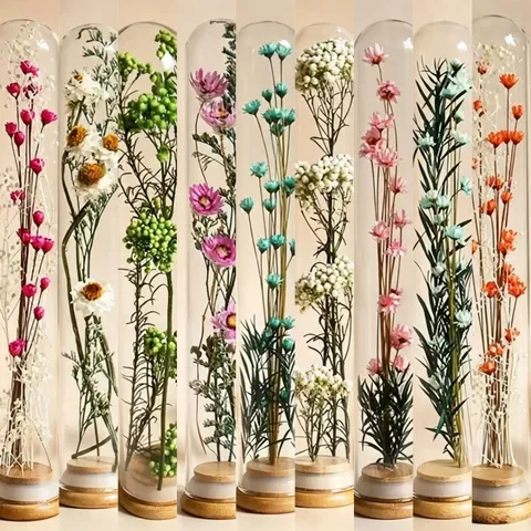 Mini Dried Preserved Flower Glass Test Tube Wishing Bottle Wooden Base Floral Decor Gift Party