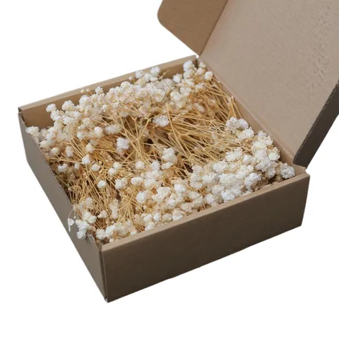 Natural Dried Flowers Gypsophila Bouquet Preserved Flowers DIY Material Box For Party Gift Christmas Home Wedding Decoration