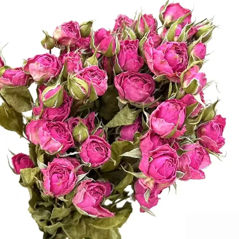 Natural Dried Rose Flowers Bouquet Real Air-Dried Floral Bunch For Home Decor DIY Craft Wedding Floral Arrangement