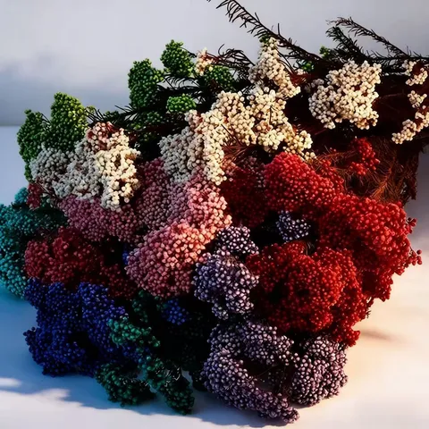 Natural Dried Millet Flowers Bouquet Preserved Floral DIY Home Bedroom Decor