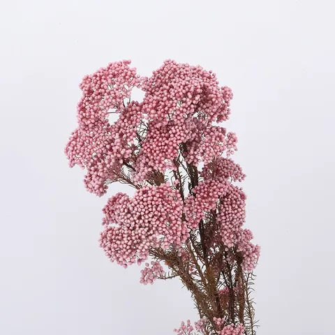 Natural Dried Millet Flowers Bouquet Preserved Floral DIY Home Bedroom Decor