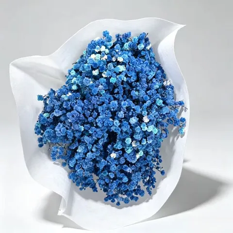 Natural Dried Baby's Breath Flowers Bouquet Preserved DIY Floral Arrangement Home Wedding Party Festival Decor Gift