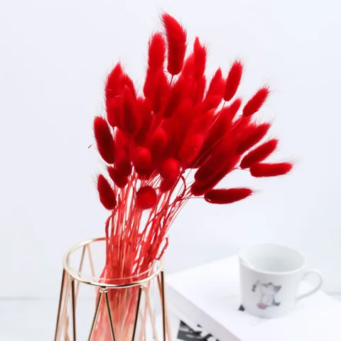 Natural Dried Rabbit Tail Grass Bouquet Fluffy Bunny Tails Dried Flowers For Home Table Decor Floral Arrangement