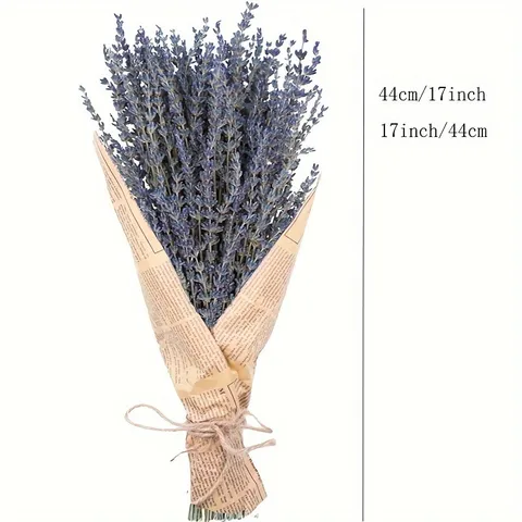 Natural Dried Lavender Flowers Bouquet Rustic Home Decor Aromatherapy Floral Arrangement Gift