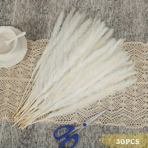 Natural Dried Flower Bouquet White Pampas Grass Bunny Tails Oats Floral Arrangement For Home Decor Room Interior Display