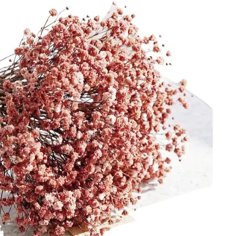 Natural Gypsophila Dried Flowers DIY Material Pack For Home Decor Wedding Party Floral Arrangement Craft Gift