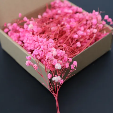 Natural Gypsophila Dried Flowers DIY Material Pack For Home Decor Wedding Party Floral Arrangement Craft Gift