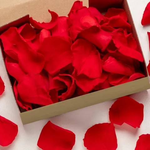 Natural Biodegradable Dried Flower Petals Rose Confetti For Wedding Party Table Celebration Eco Friendly Floral Decor