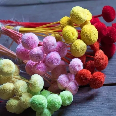 Natural Dried Flowers Mini Billy Balls Crraspedia Dried Flower Bouquet For DIY Crafts Home Floral Arrangement Decor