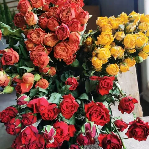 Natural Preserved Dried Roses Bulk Big Head Rose Bouquet For DIY Crafts Floral Arrangement Home Wedding Party Decor