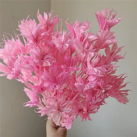 Natural Dried Star Anise Flowers Forest Style Retro Floral Arrangement Handmade DIY Material Preserved Flower Decor