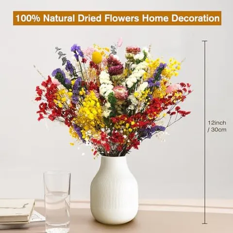 Natural Dried Flowers Bouquet Mixed Preserved Baby Breath Eucalyptus Home Decor Floral Arrangement Gift