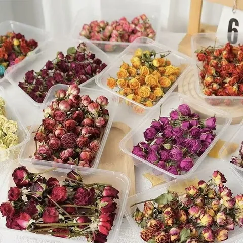 Natural Dried Rose Flowers Mixed Color Miniature Roses For Resin Art Aromatherapy Candle DIY Craft Home Decor