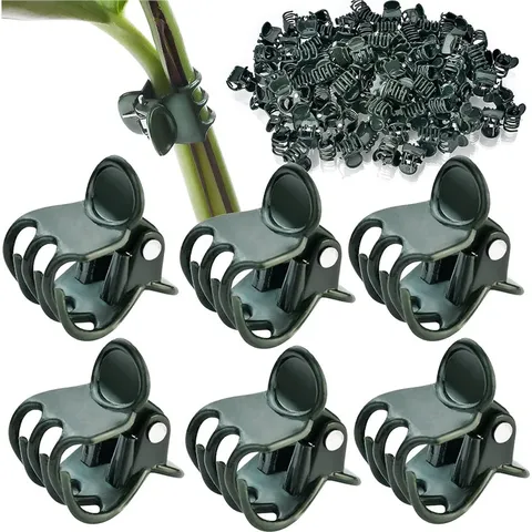 Clips de Support de Plante en Plastique Pinces de Tige Vertes pour Légumes Fleurs Vigne Grimpante Outils de Jardinage
