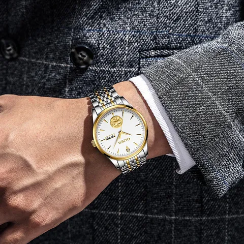 Men Business Mechanical Watch Stainless Steel Two-Tone Automatic Wristwatch Luminous Waterproof Pixiu Men's Watch