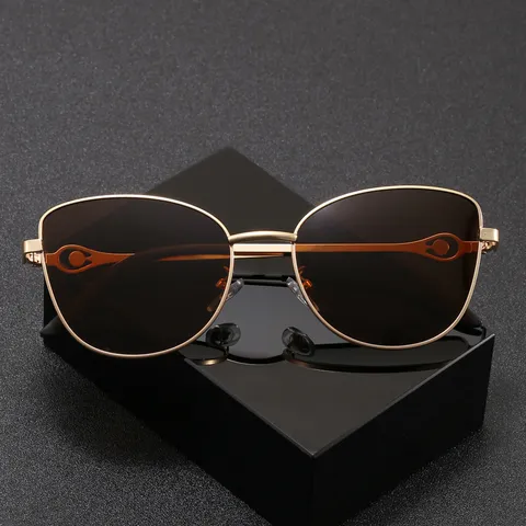 Lunettes de Soleil Polarisées à Monture en Acier Inoxydable Tendance pour Hommes et Femmes Protection UV400 Conduite en Plein Air
