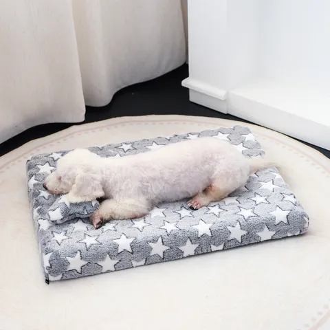 Flanell Haustier Hundebett Matte Waschbar Warm Schlafende Kissen Mit Kleinem Kissen Für Kleine Mittlere Hunde Winter Haustierbedarf