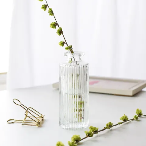 Vaso in Vetro Trasparente Nordico Stile Europeo Rigato Verticalmente Contenitore per Piante Idroponiche Decorazione Casa Vaso