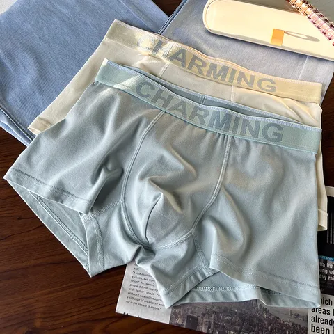 Men's Breathable Modal Boxers Comfortable Elastic Letter Printed Waistband Trunks Daily Base Layer Underwear Soft Underpant For Male