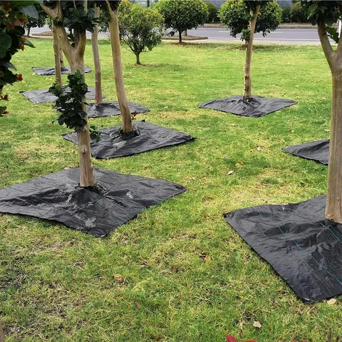 Black Woven Weed Barrier Fabric Heavy Duty Ground Cover Garden Landscape Fabric With Pre Punched Holes For Plants