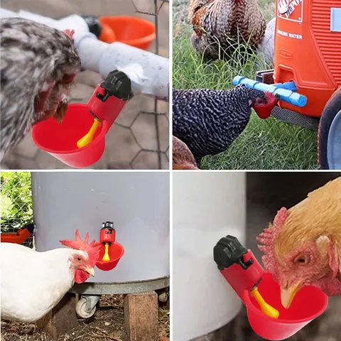 Automatische Hühnertränke Schale Kunststoff Geflügel Trinkbecher Viehzucht Bewässerung Ausrüstung Für Küken Vögel