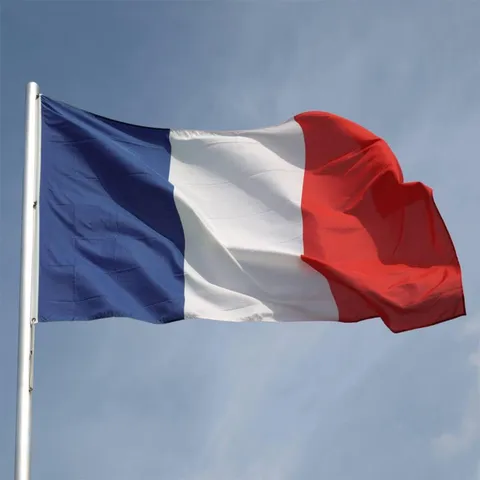 French Flag National Banner Polyester Material with Metal Grommets Outdoor Indoor Display Decorative Flag