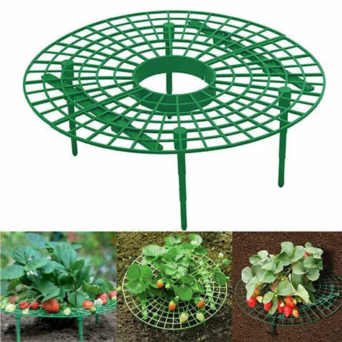 Support de Plante de Jardin en Plastique Fraise Stand Balcon Légumes Grimpant Support Vert Grille Plateau Support Pour Croissance