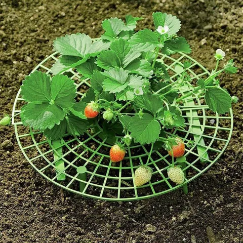 Support de Plante de Jardin en Plastique Fraise Stand Balcon Légumes Grimpant Support Vert Grille Plateau Support Pour Croissance