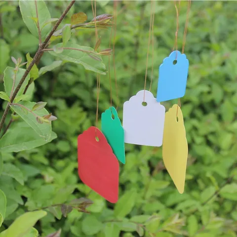 Plastik Pflanzenetiketten Wasserdichte Gartenmarkierer Baumschule Blumentopf Etiketten Mit Hängender Schnur Für Blumen Und Kräuter