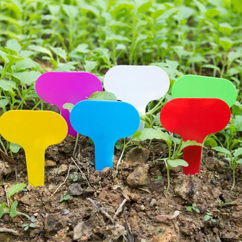 Waterdichte Kunststof T-vormige Plantenlabels Kwekerij Tuin Bloempotten Markers Planten Tags Voor Buiten Binnen Tuinieren