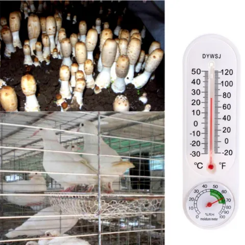 Indoor Wall Mounted Thermo Hygrometer Plastic Mechanical Temperature Humidity Monitor For Greenhouse Home