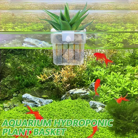 Transparent Aquarium Hydroponic Planting Basket Wall-Mounted Water Grass Cup Fish Tank Landscaping Decoration