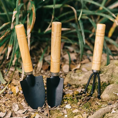 Iron Gardening Tool Set With Wood Handle Mini Shovel Rake Hand Cultivator For Home Potted Flower Bonsai Planting Loosening Soil