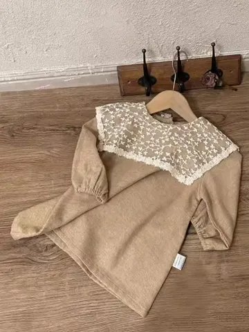 Nouveau-né Bébé Fille Manches Longues Coton Princesse Robe Mignon Col Relevé Dentelle Couleur Unie Automne Tout-petit Fête Vêtements