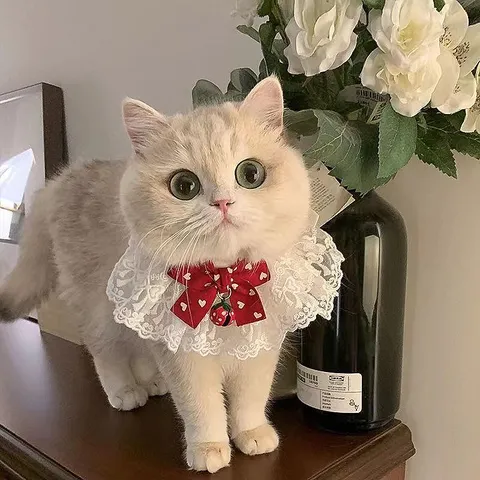 Cute Lace Pet Bib Cat Dog Collar Sweet Princess Style Lace Bib with Bowknot and Bell for Small Dogs Cats Pet Accessories