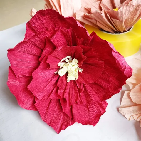 Fiori di Carta Crespa Fatti a Mano Pom Pom di Carta Sospesi per Matrimonio Festa di Compleanno Asilo Decorazioni per la Casa