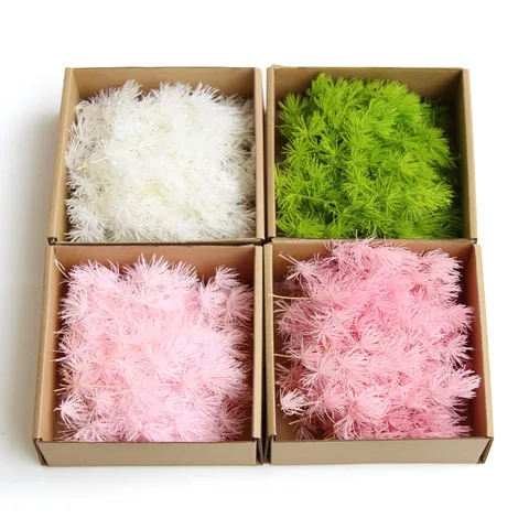 Preserved Asparagus Fern Dried Flowers Box Natural Plant Material For DIY Crafts Greeting Cards Home Decor