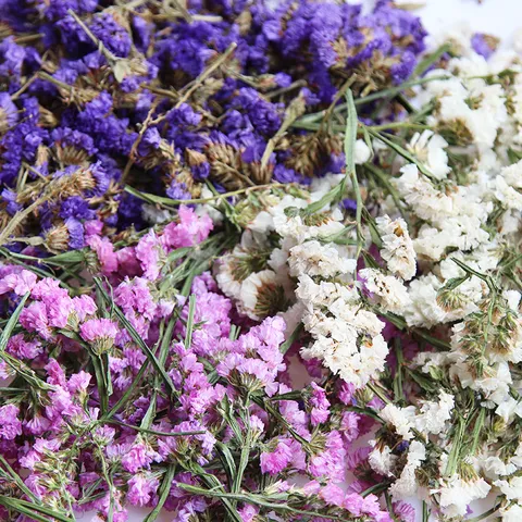 Natural Forget Me Not Dried Flower Heads Dried Flowers For DIY Epoxy Resin Aromatherapy Candles Sachet Floral Decoration