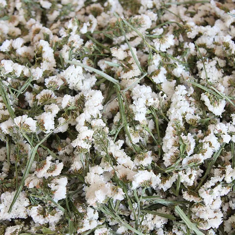 Natural Forget Me Not Dried Flower Heads Dried Flowers For DIY Epoxy Resin Aromatherapy Candles Sachet Floral Decoration